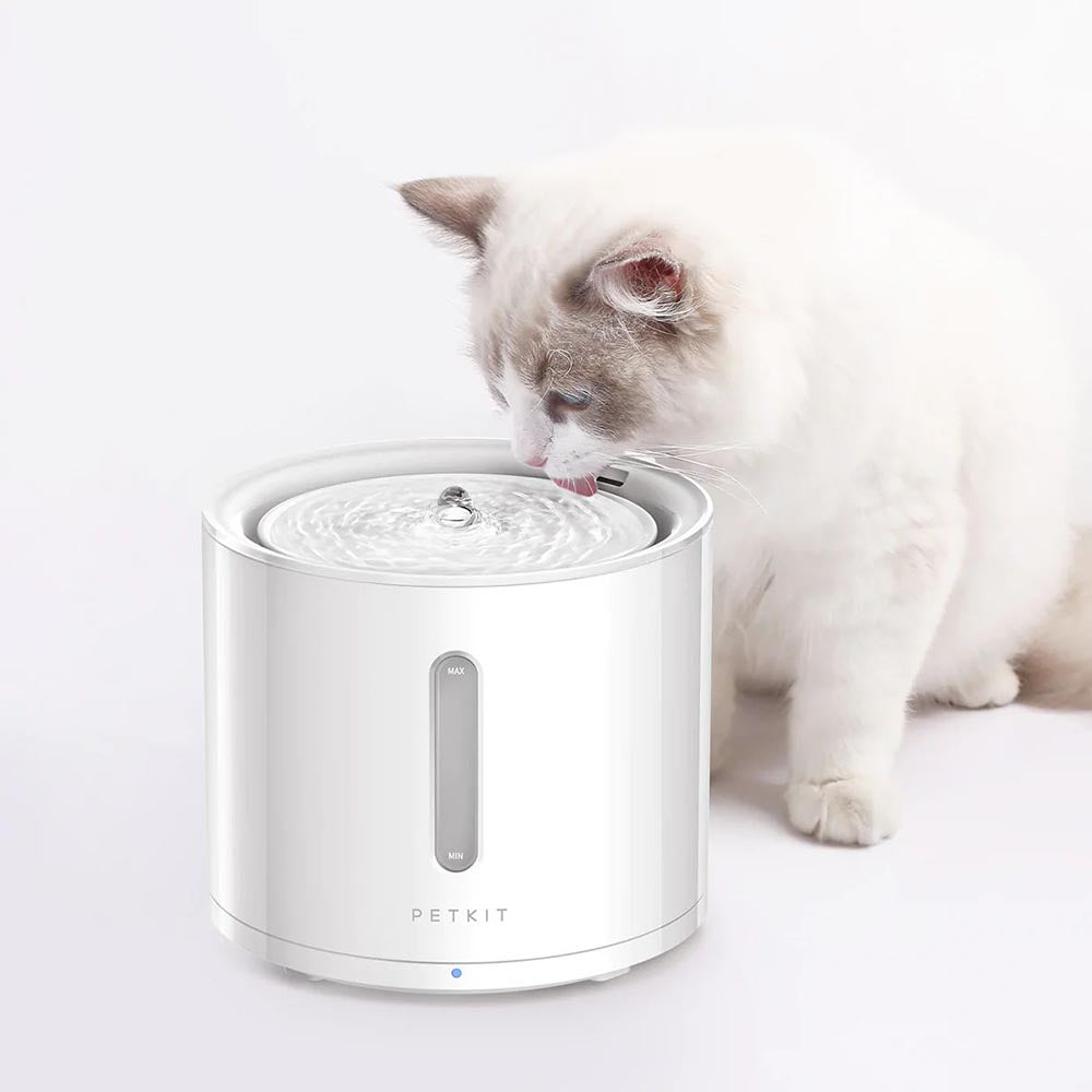 Pump for cat water fountain best sale