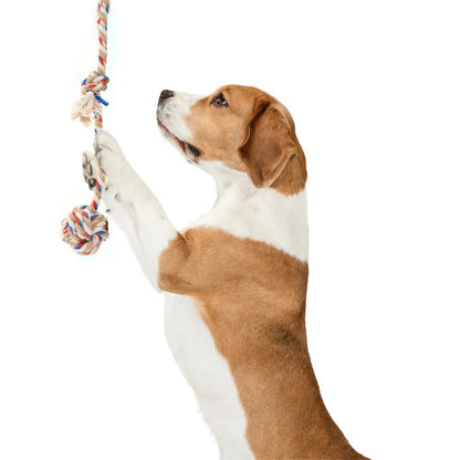 FOFOS Teething Flossy With Ball Rope Dog Toy