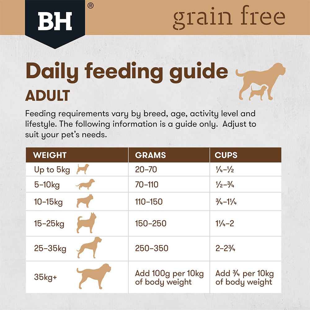 BLACK HAWK Grain Free Salmon for Adults 15kg | Dog Food | Petso Au