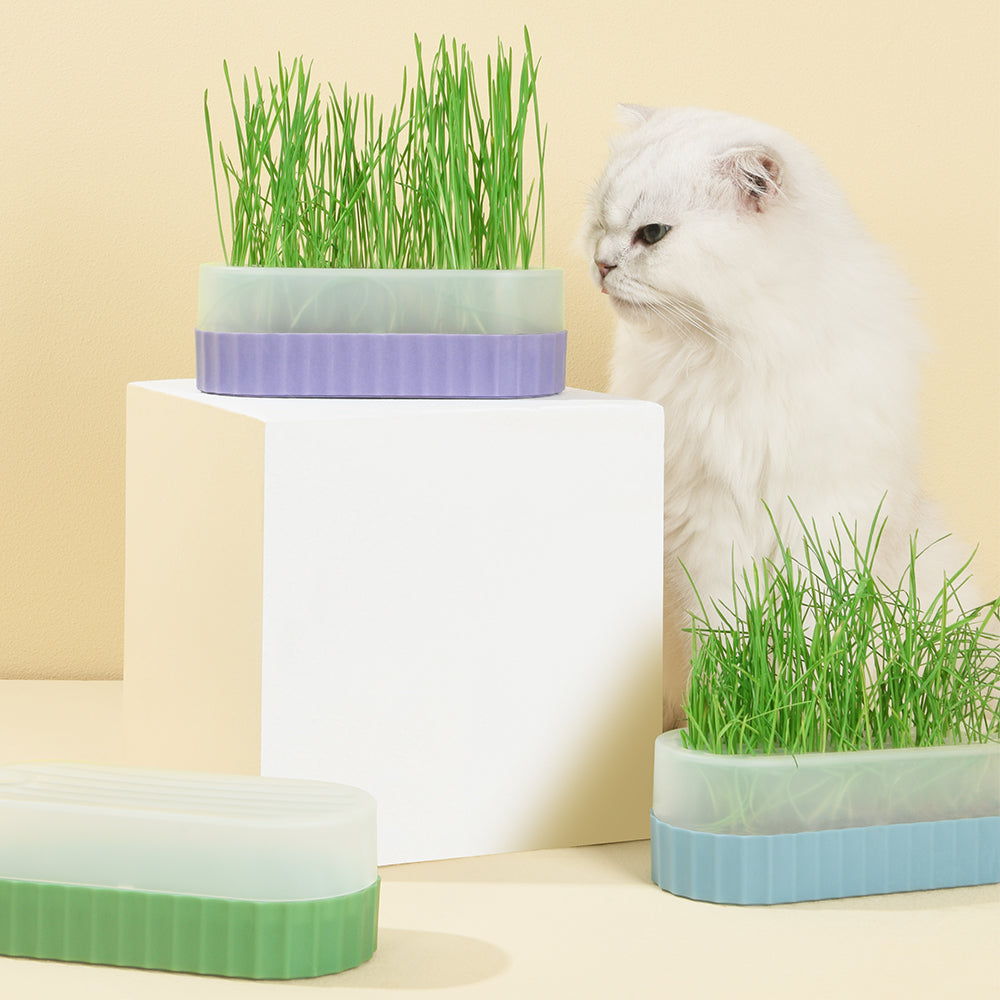 Cat grass clearance litter box