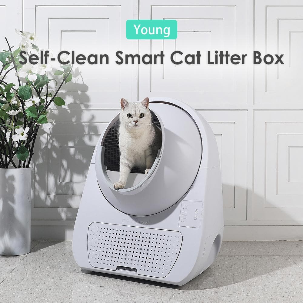 Smart cat deals litter