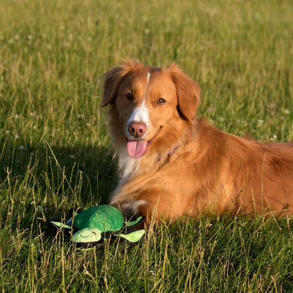 BECO Rough and Tough Turtle Dog Chew Toy (large)