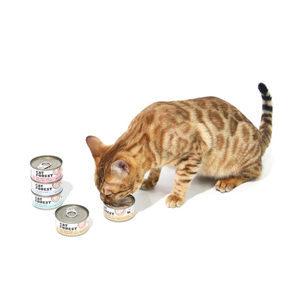 CAT FOREST Classic Tuna White Meat with Shrimp in Gravy Canned Cat Food