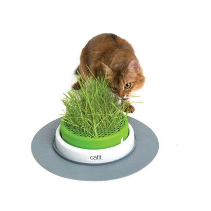 CATIT 2.0 Catgrass Planter