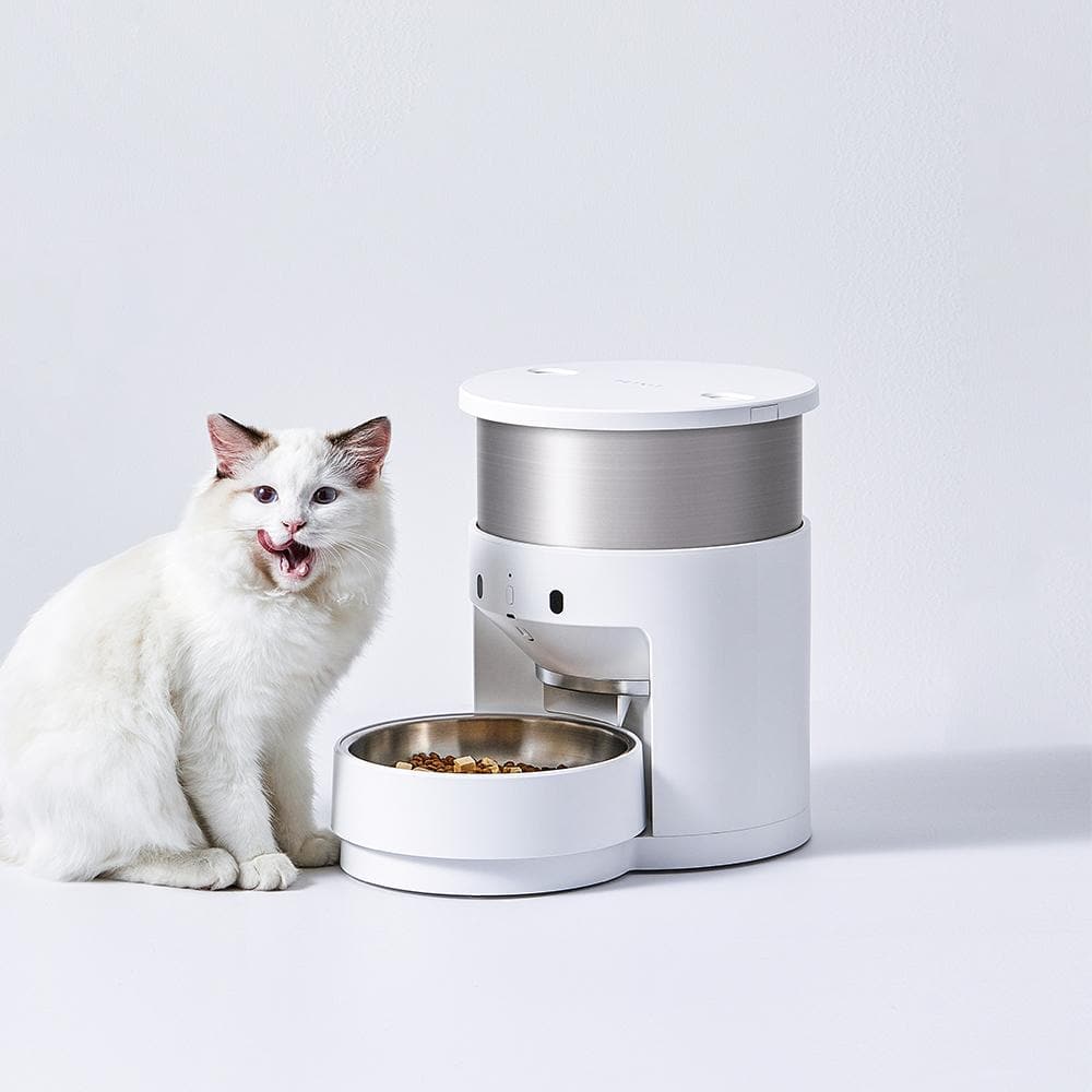 3 cat sale feeder