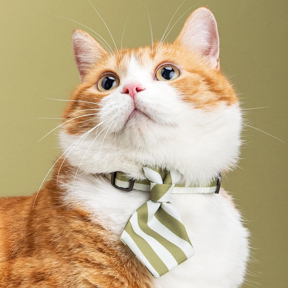 PIDAN Green Stripe Necktie Cat Collar Petso Au