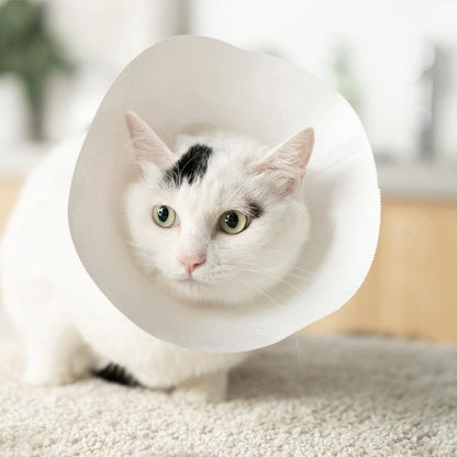 PIDAN Cat Elizabethan Collar - 5 Pcs-Adjustable Neck Size Upto 25Cm - Petso Online 