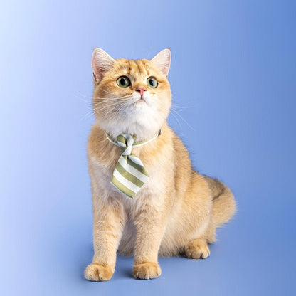 PIDAN Green Stripe Cat Necktie