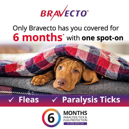 BRAVECTO For Large Dogs 20-40kg 1 Pipette