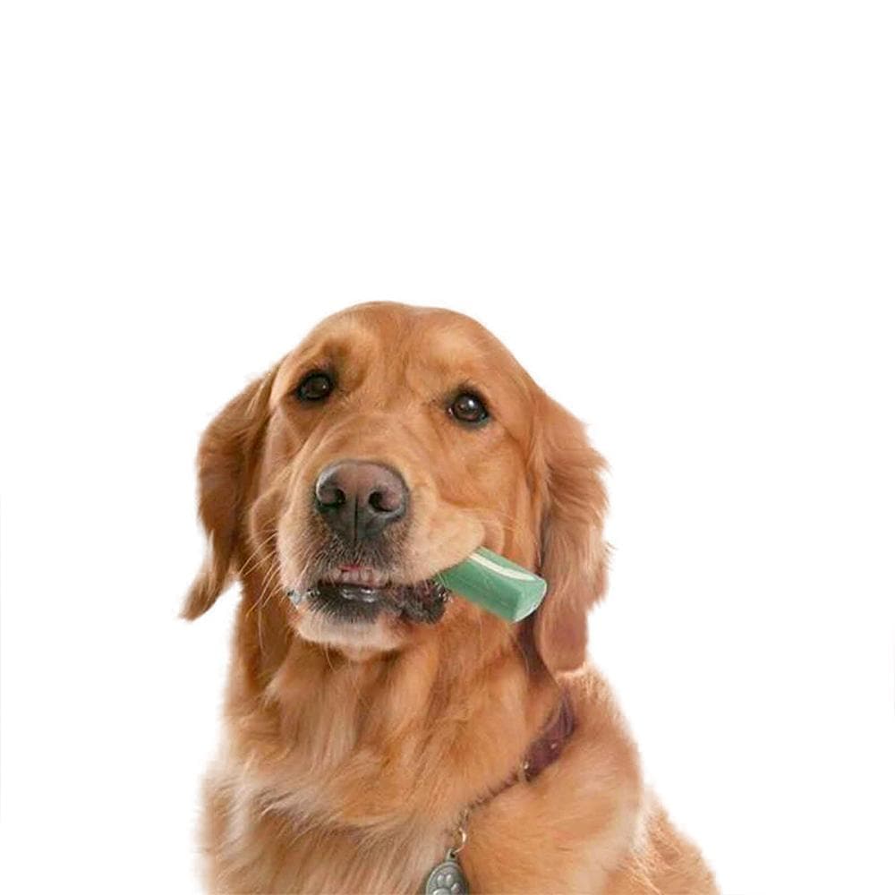 Oral hygiene chews outlet for dogs