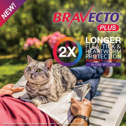 BRAVECTO Plus For Small Cats 1.2-2.8kg 1 pipette