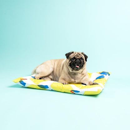 PIDAN Pet Cooling Mat - Honey And Lemon - Petso Online 