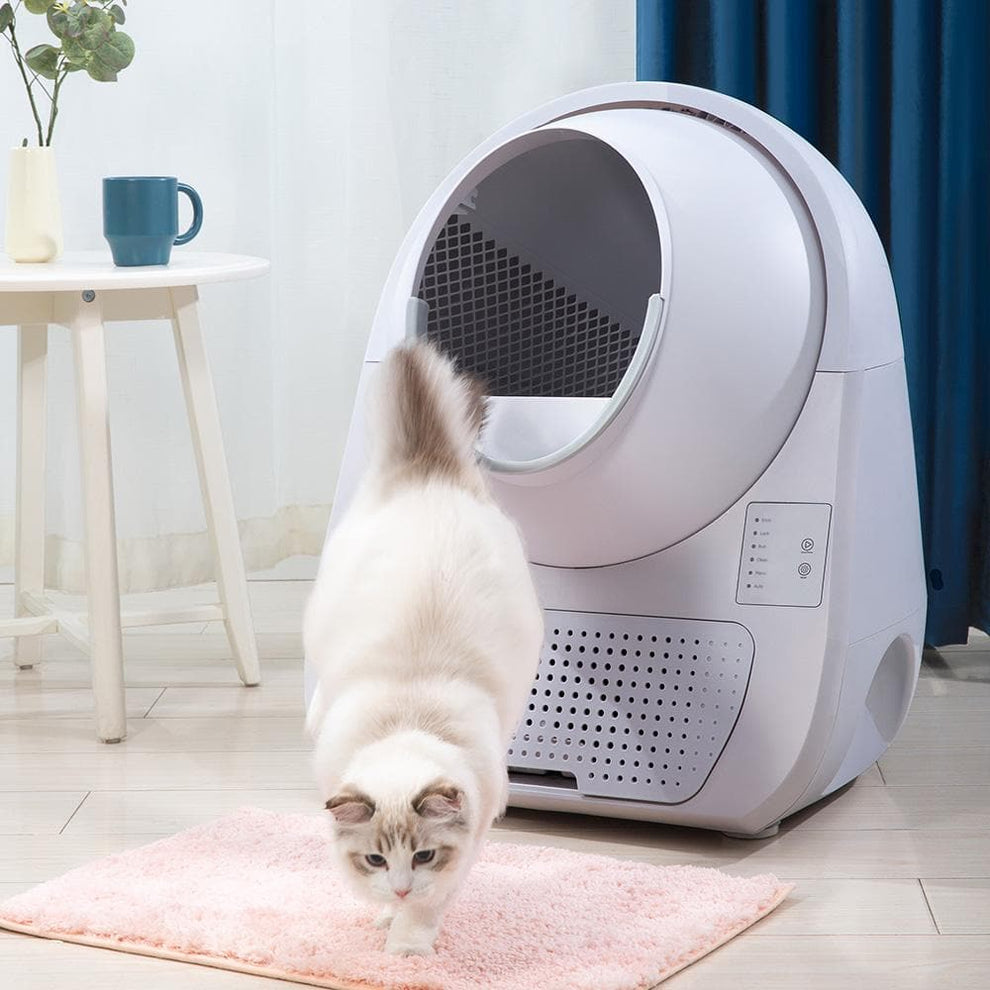 Catlink Scooper Self-Clean Young Version | Cat Litter Box | Petso Au