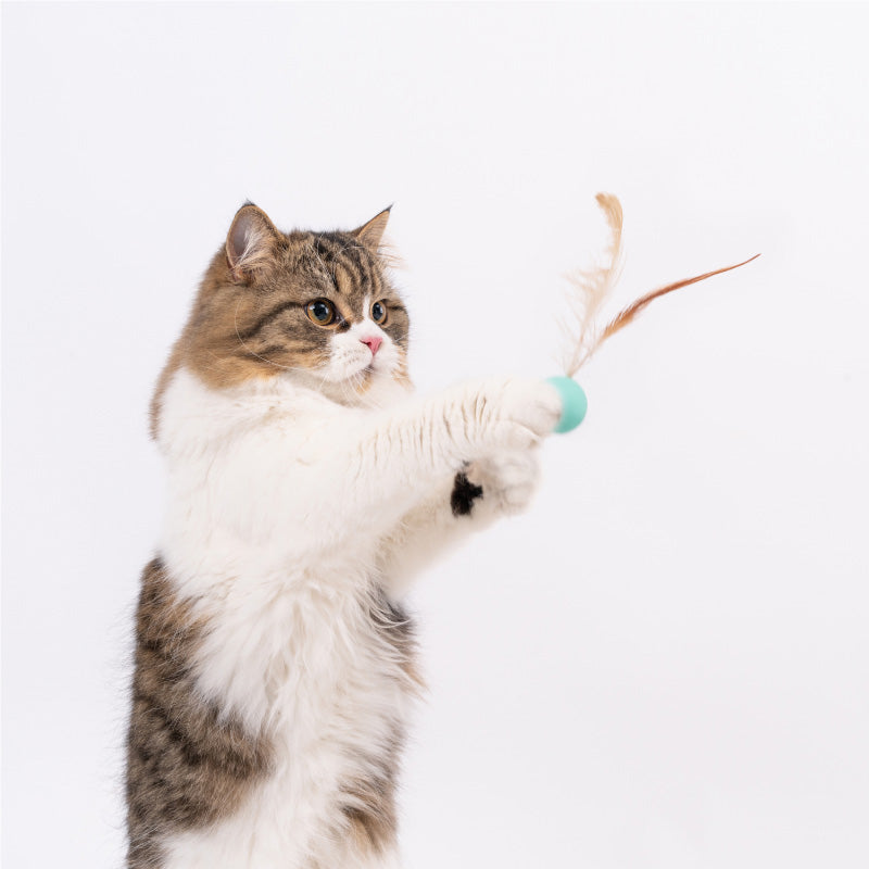 Bouncy balls for cats hotsell