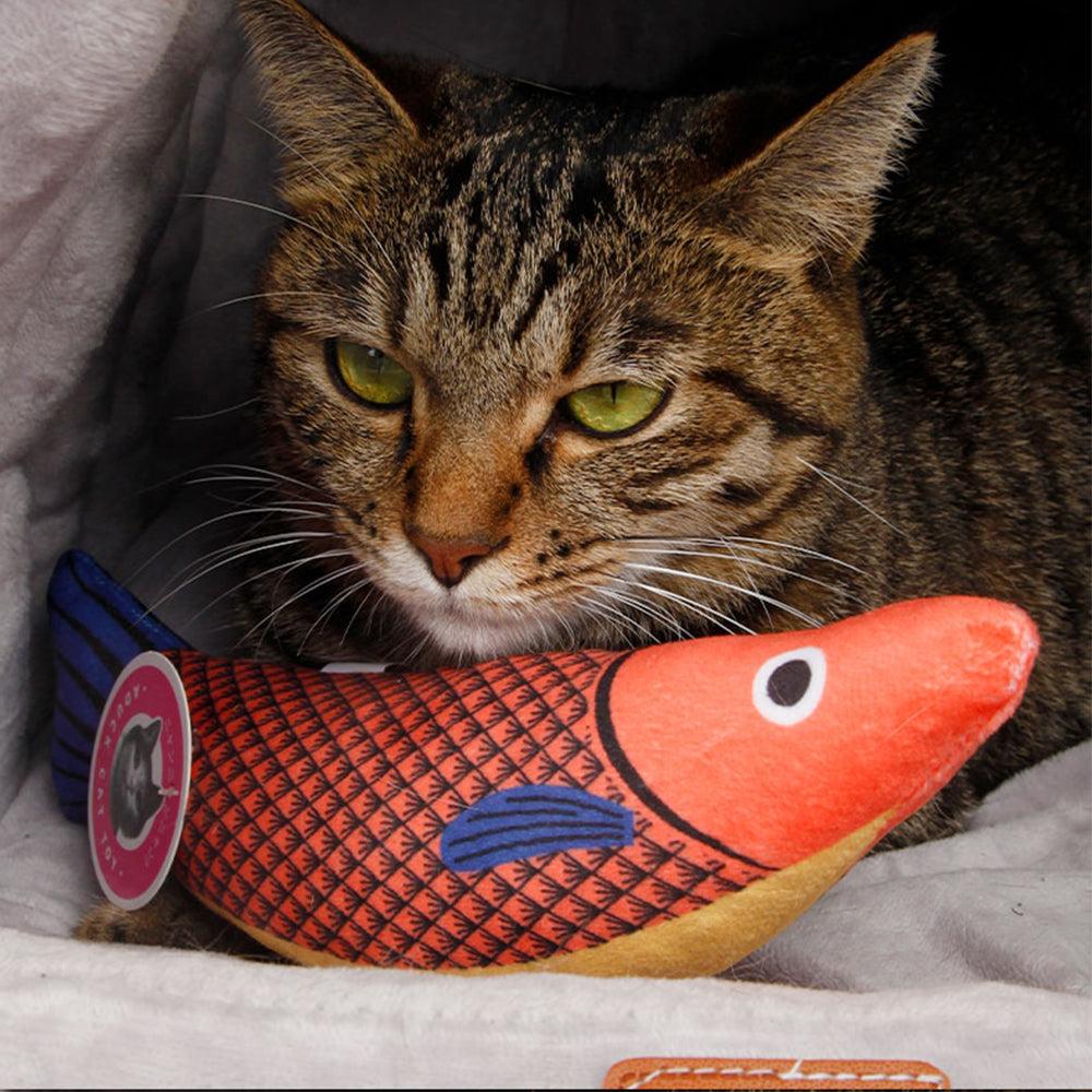 Seafood Orange Fish Cat Catnip Toy