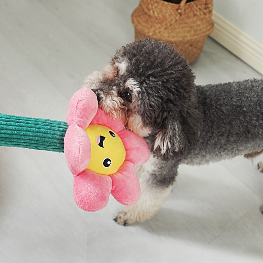 Dog teaser hot sale toy