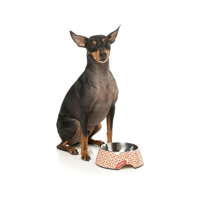 FUZZYARD Daily Grind Easy Feeder Dog Bowl for Medium-Sized Dogs