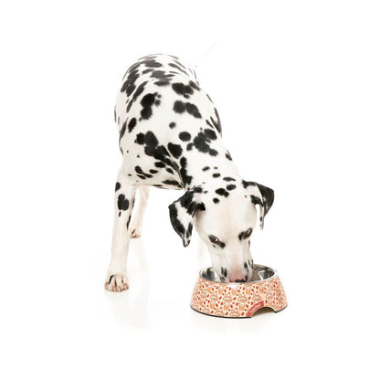 FUZZYARD Daily Grind Easy Feeder Dog Bowl for Medium-Sized Dogs