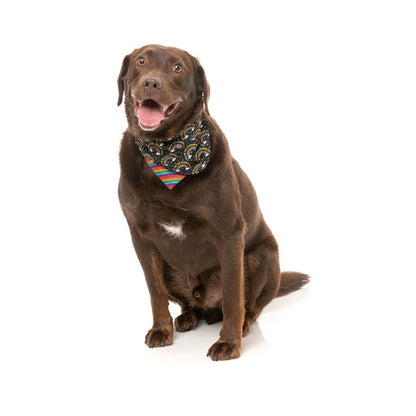 FUZZYARD Follow The Rainbow Baby Bandana for Medium and Large Dogs