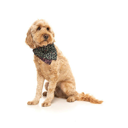 FUZZYARD Savanna Bandana for Medium and Large Dogs