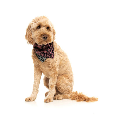 FUZZYARD Savanna Bandana for Medium and Large Dogs