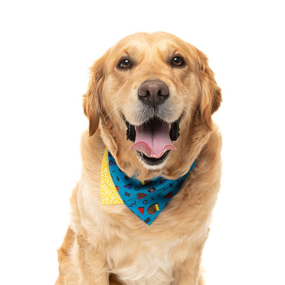 FUZZYARD Kings Of Gold School Bandana for Medium and Large Dogs