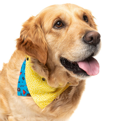 FUZZYARD Kings Of Gold School Bandana for Medium and Large Dogs