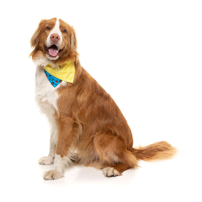 FUZZYARD Kings Of Gold School Bandana for Medium and Large Dogs