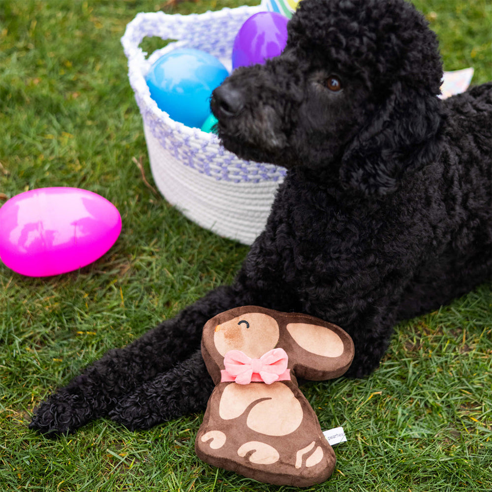 FUZZYARD Chocolate Bunny Dog Toy