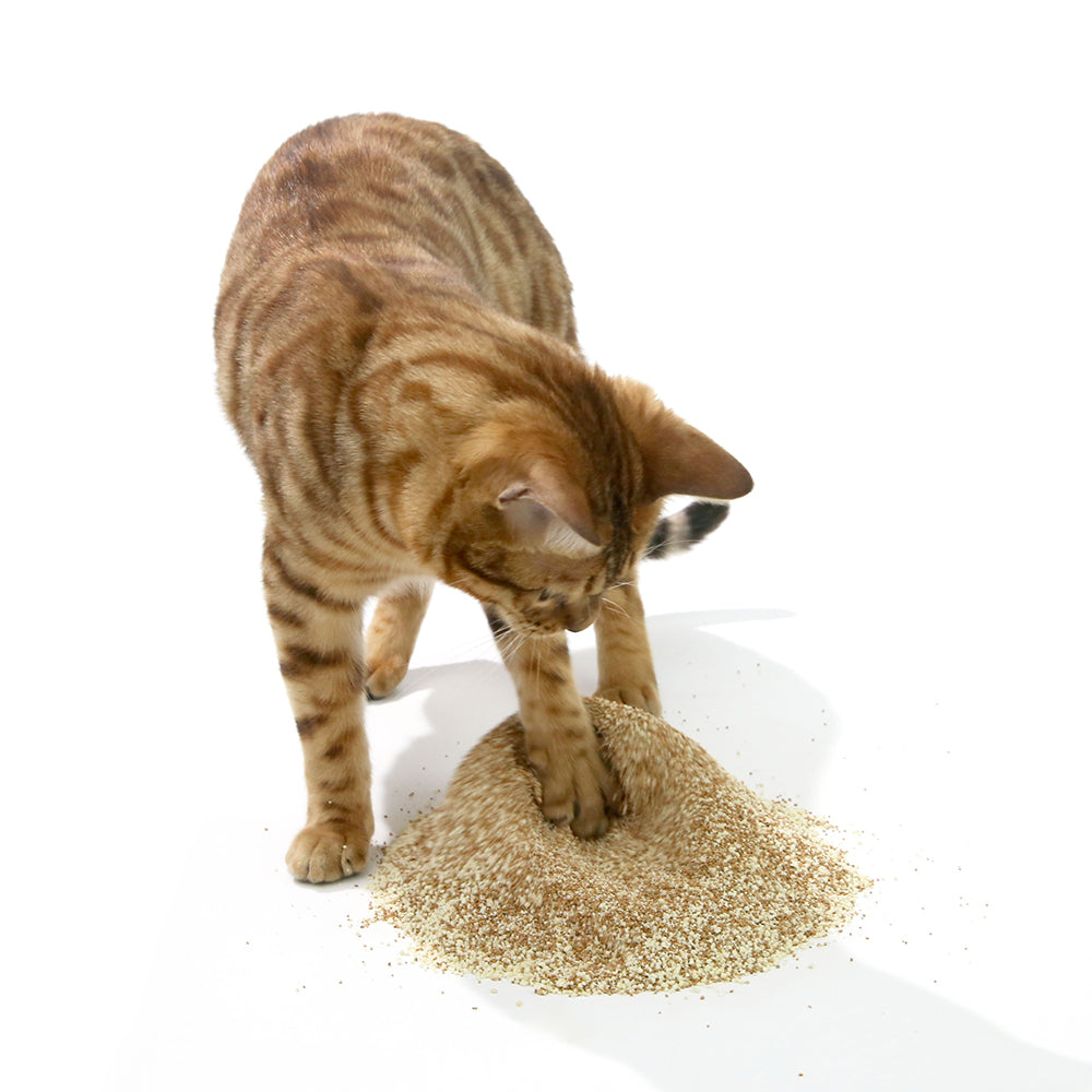 ZODIAC Natural Way Walnut Shell Cassava Cat Litter Petso Au