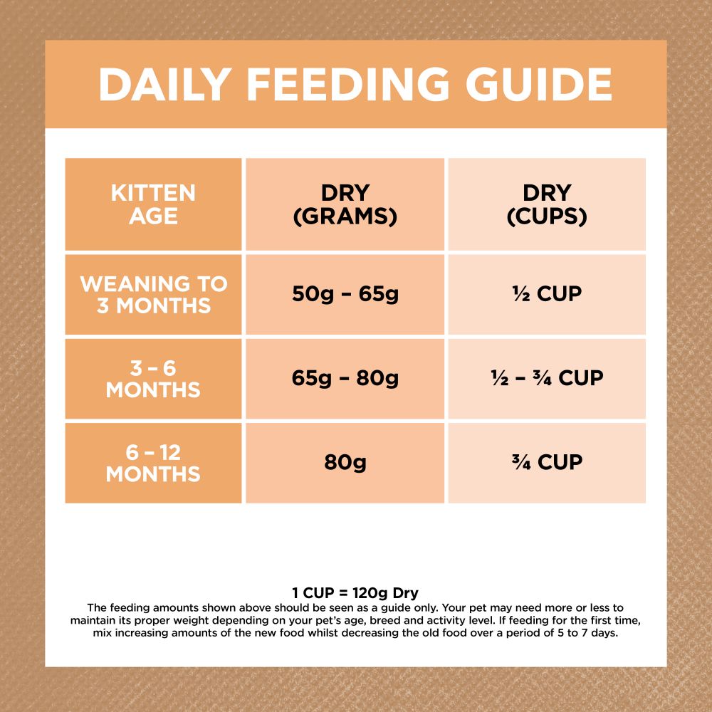 Kitten food age clearance chart