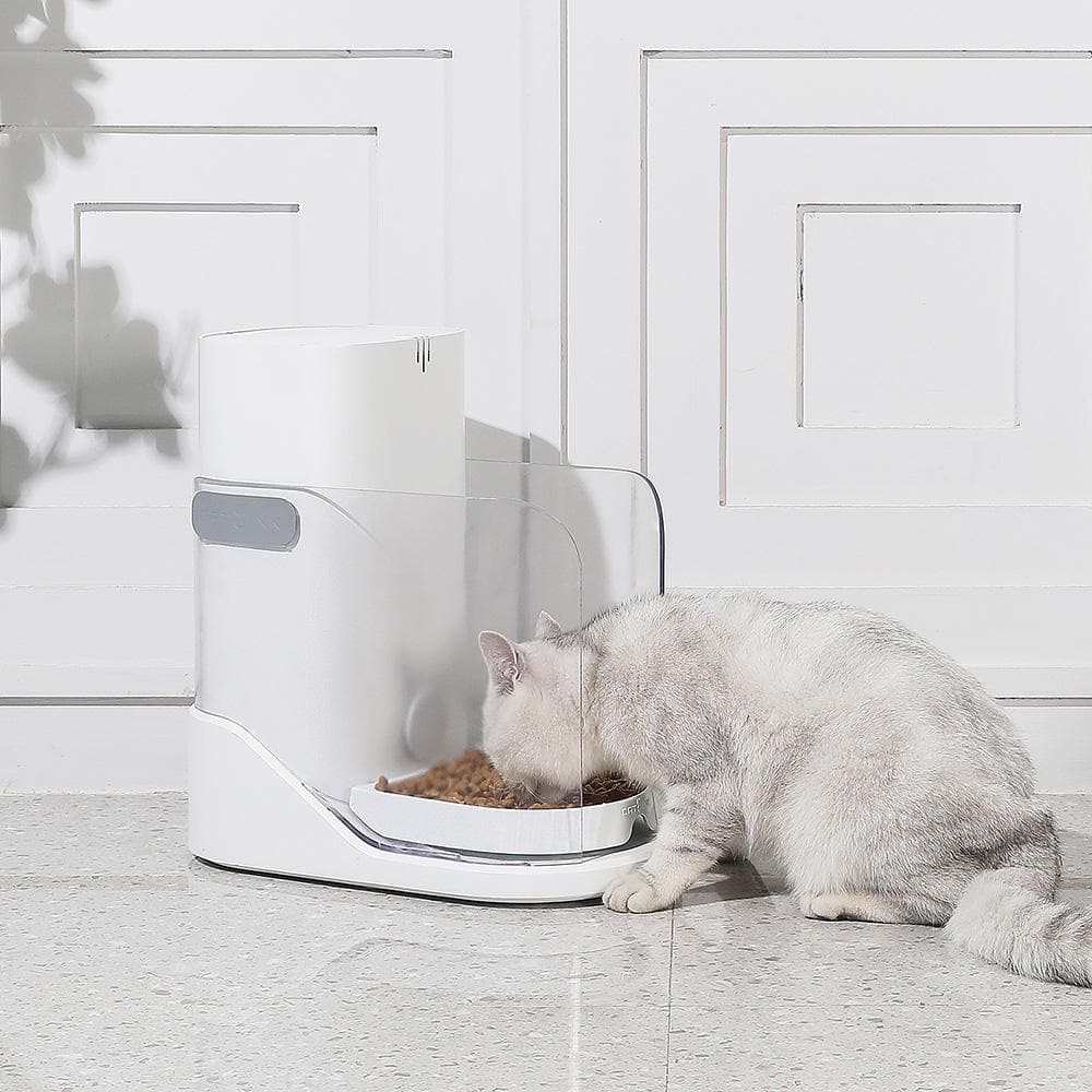 Cat feeder that outlet recognizes cat