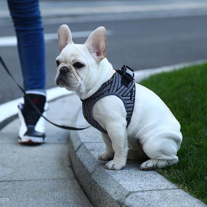 PETKIT Air Fly Small Dog Harness