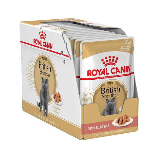 ROYAL CANIN British Shorthair Gravy Adult Wet Cat Food 85g x 12