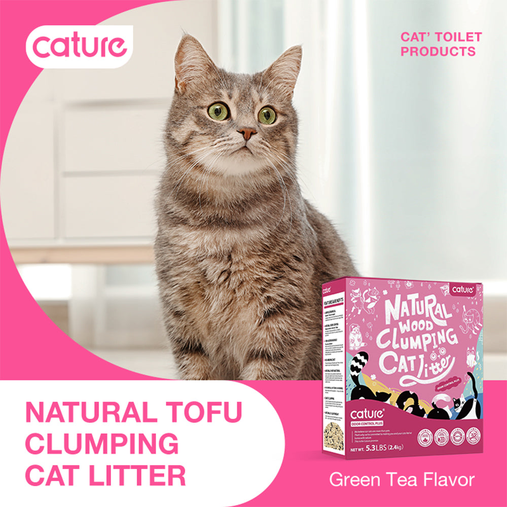 Odour control 2025 cat litter