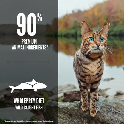 ORIJEN Six Fish Biologically Appropriate Dry Cat Food