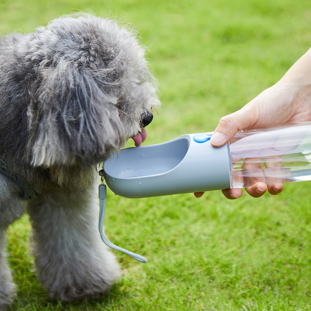 PETKIT Eversweet Grey Travel Water Bottle 400ml