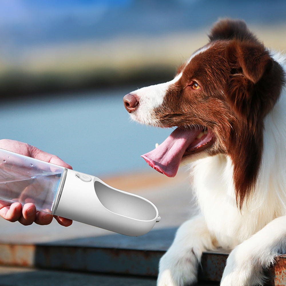 PETKIT Eversweet White Pet Travel Water Bottle 400ml Petso Au