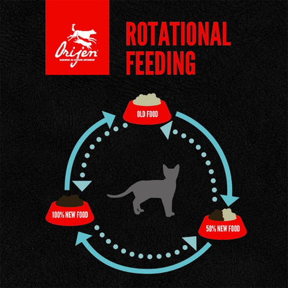 ORIJEN Original Biologically Appropriate Dry Cat Food