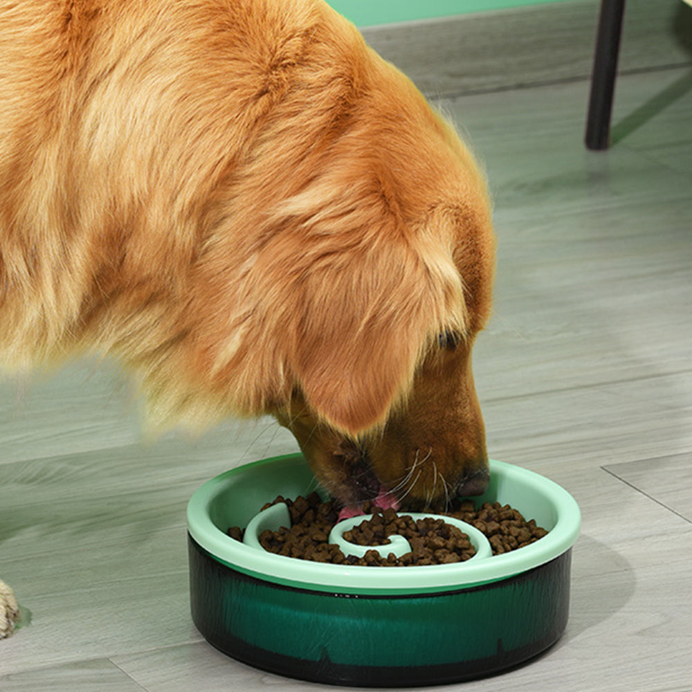 PAKEWAY Yellow Glass Slow feed Bowl For Pets Petso