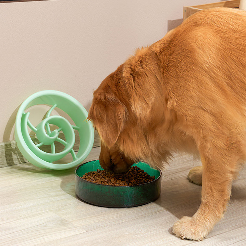 Maze food bowl best sale