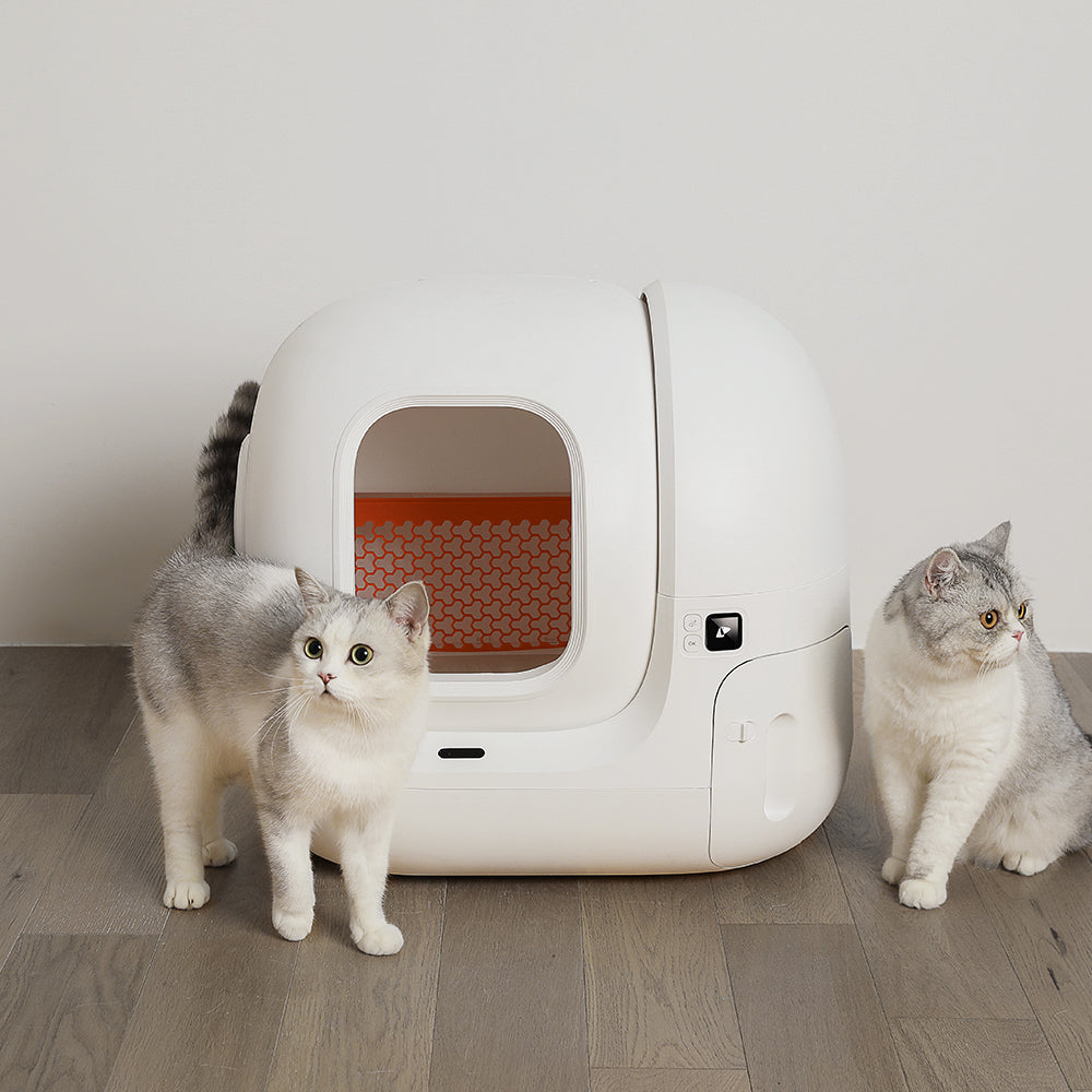 Cleaning a outlet cat litter box