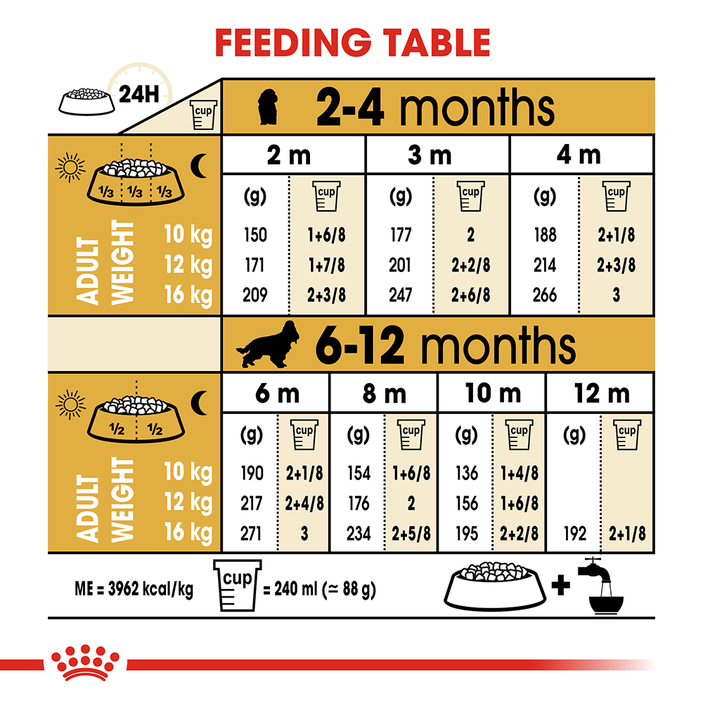 Royal canin cocker spaniel 2024 3kg