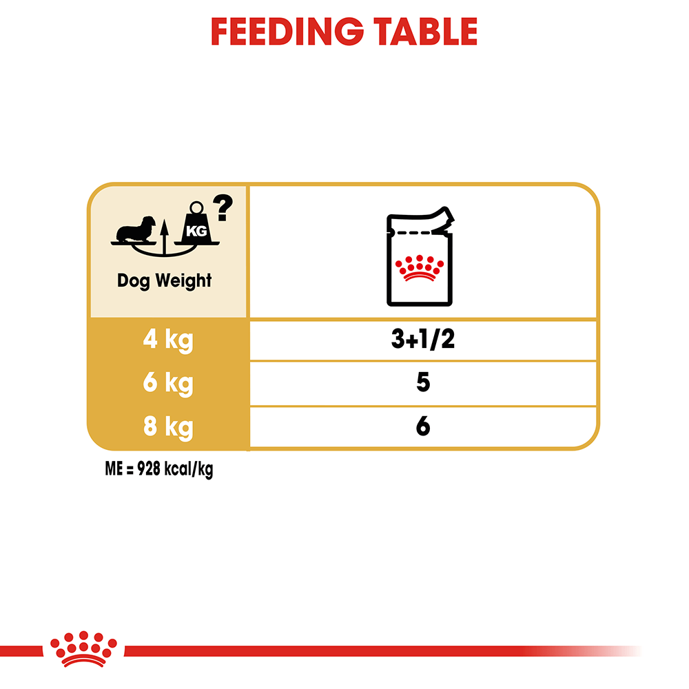 Dachshund puppy outlet food amount