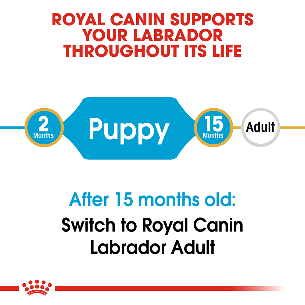 ROYAL CANIN Labrador Puppy Dry Dog Food 3kg