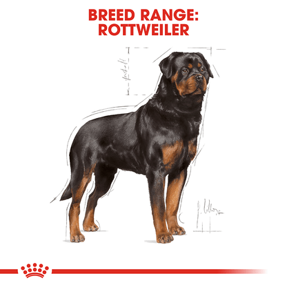 ROYAL CANIN Rottweiler Adult Dry Dog Food 12kg