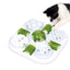 CATIT Play Treat Puzzle 6-in-1 Snack Maze Cat Toy