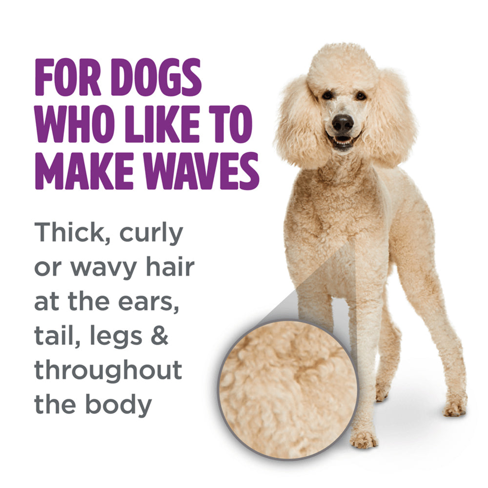 Dog shampoo shop for curly hair